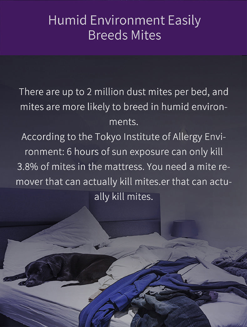 Anti-mite vacuum cleaner - HaHaHome